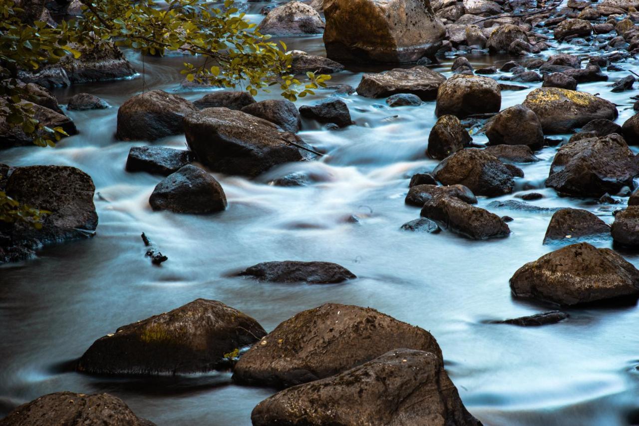 Paddler'S Lane Retreat Βίλα Confluence Εξωτερικό φωτογραφία